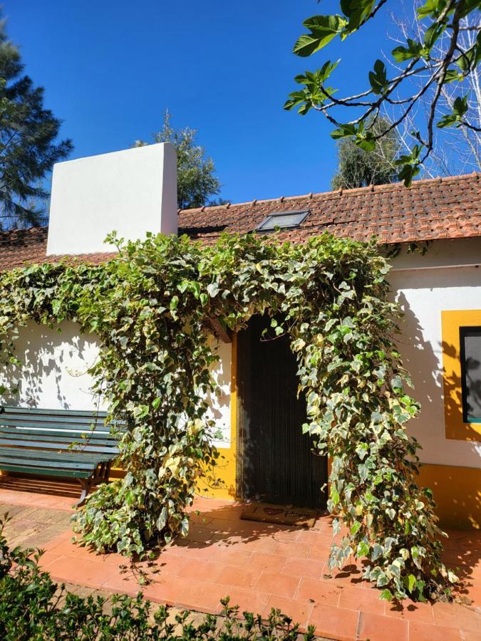 Quinta Da Mimosa Ξενοδοχείο Fajarda Εξωτερικό φωτογραφία