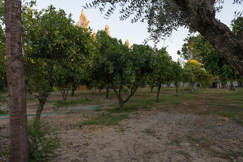 Quinta Da Mimosa Ξενοδοχείο Fajarda Εξωτερικό φωτογραφία